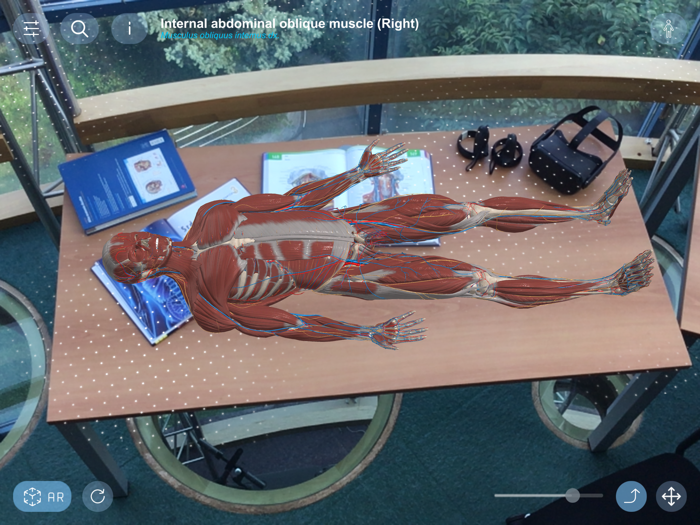 AR Anatomy