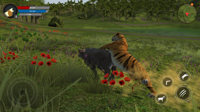 Asian Tiger Survival Simulator Screenshot