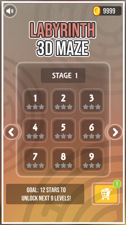 3D Labyrinth Maze screenshot-5
