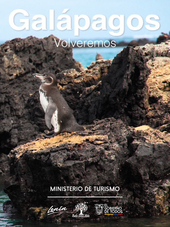 Screenshot #6 pour Revista Siete