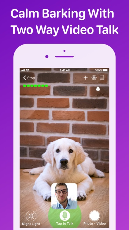 Pet Monitor VIGI