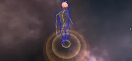 Game screenshot Human Nervous system mod apk