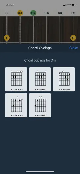Game screenshot Fretty - All chords & scales. hack