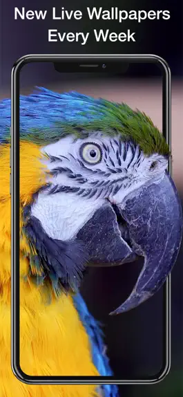 Game screenshot WallpapersMania Live Wallpaper mod apk