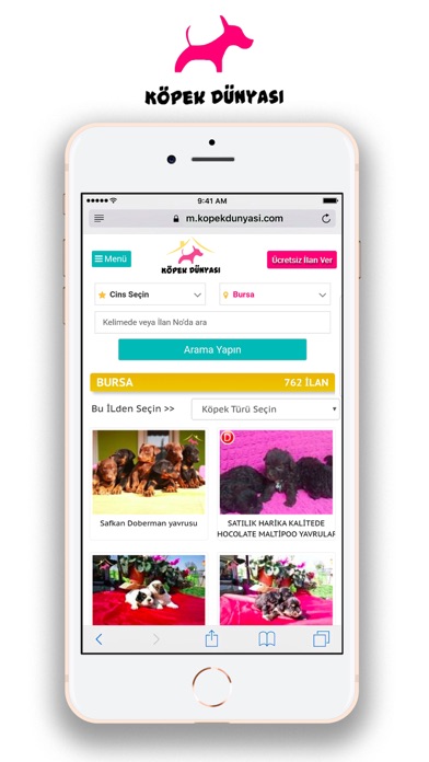 Köpek Dünyası Köpek İlanları Screenshot