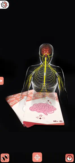 Game screenshot Body cards hack