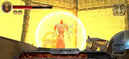 Game screenshot Shrouded Citadel hack