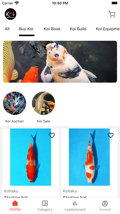 The Koi Indonesia Screenshot