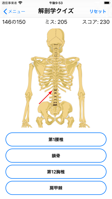 解剖学クイズのおすすめ画像6