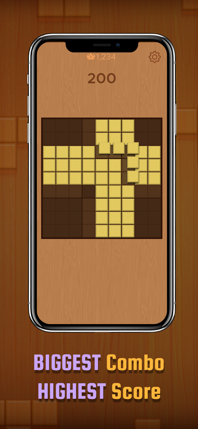 Block Sudoku 99 Puzzle
