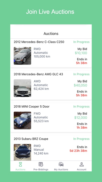 AutoFairy Bidder