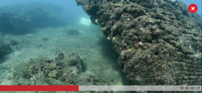 MeDryDive AR Dive in the Past