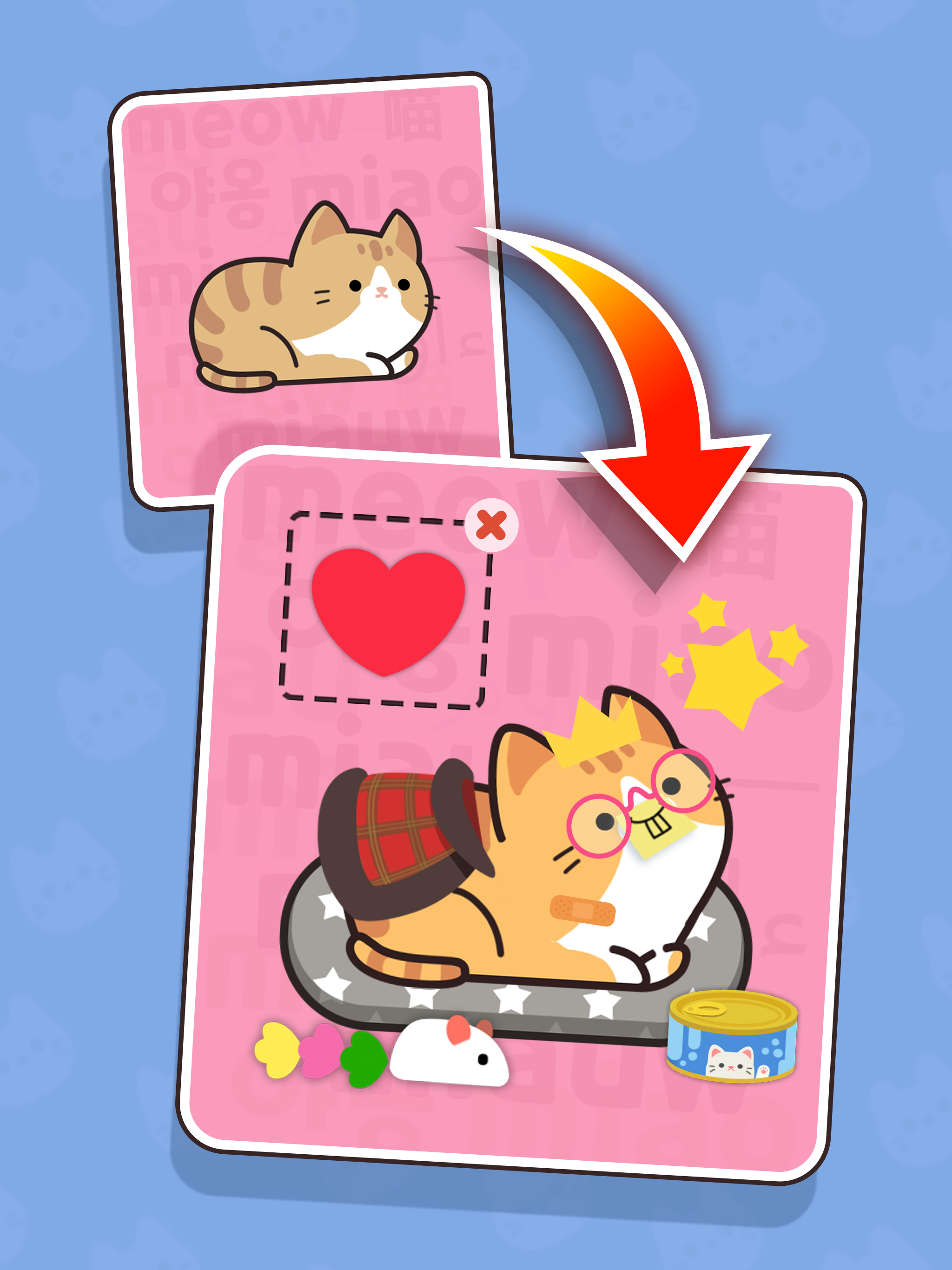 Push Push Cat