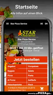 star esslingen berkheim problems & solutions and troubleshooting guide - 4