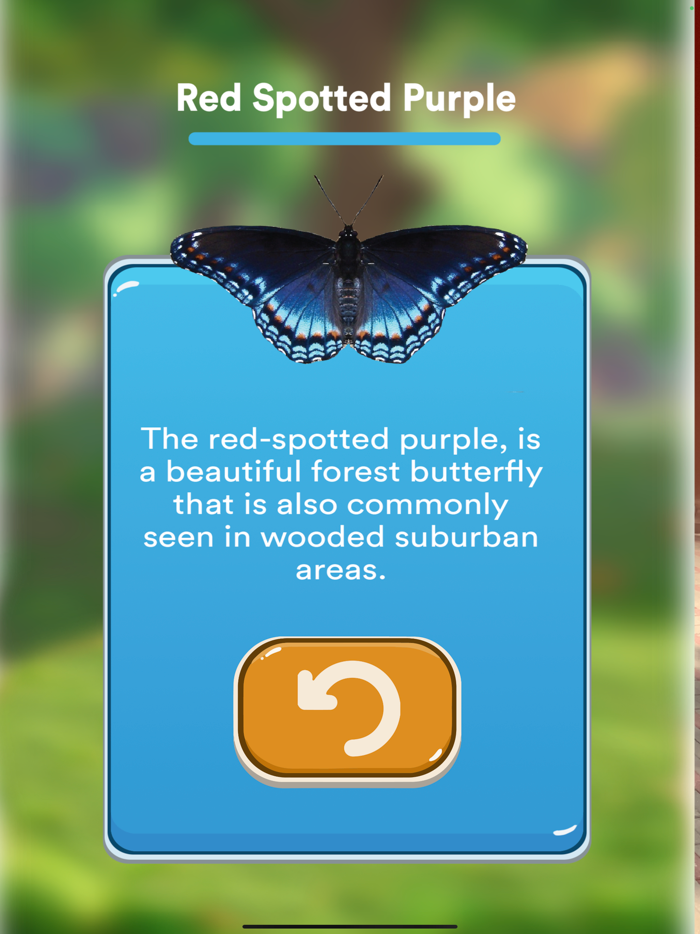 The Underline DIGandLEARN AR APP