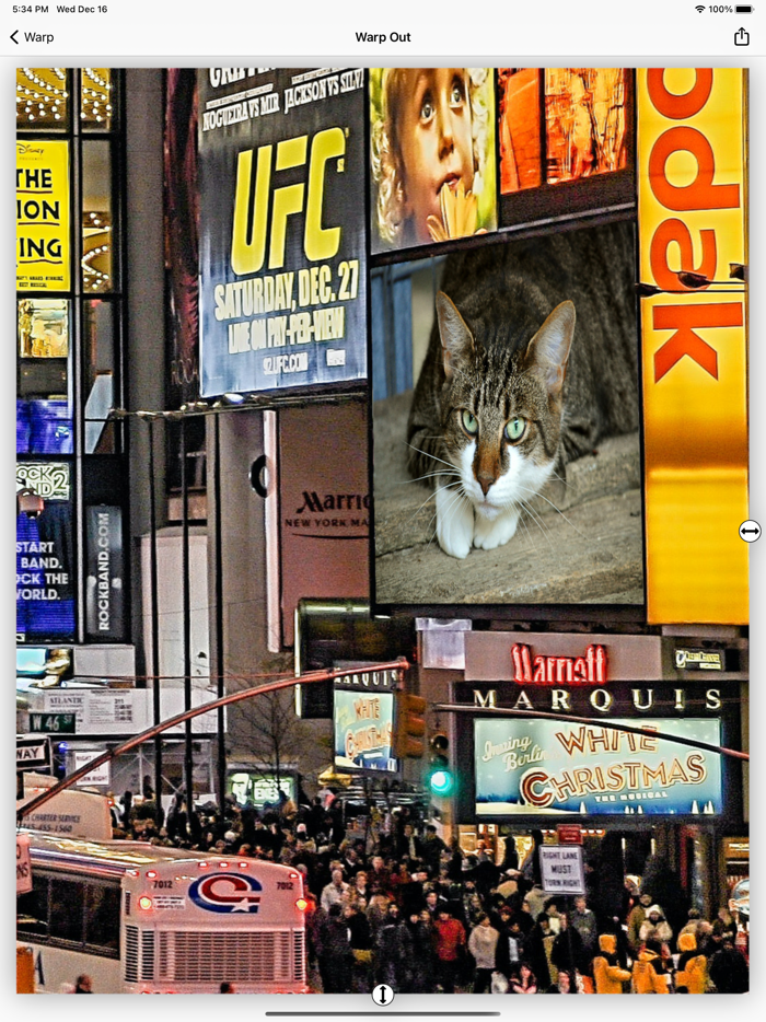 Pic Warp - Geometry Editor