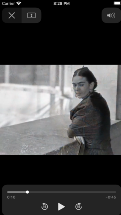 Frida Kahlo Preview Screenshot