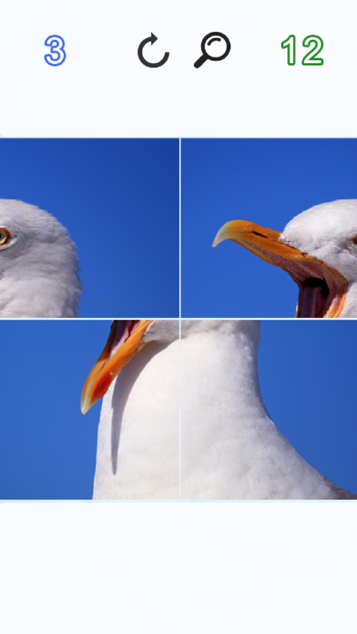 Screenshot #1 pour Puzzle Photo Pro