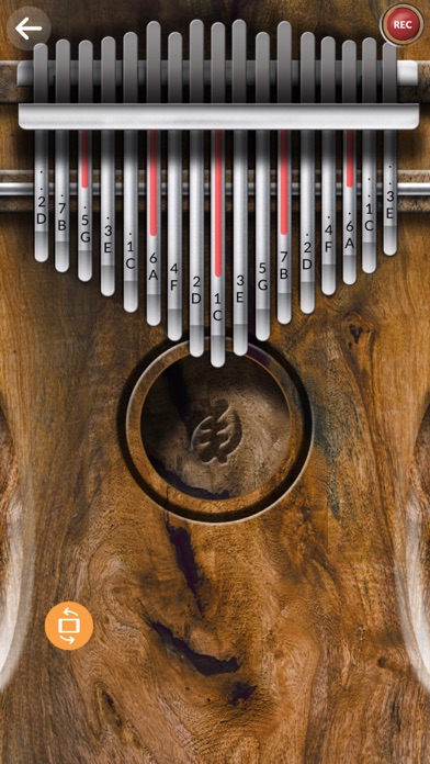 Top 10 Apps like Kalimba Real in 2021 for iPhone & iPad