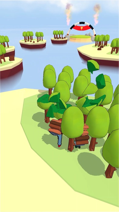Island Race Screenshot