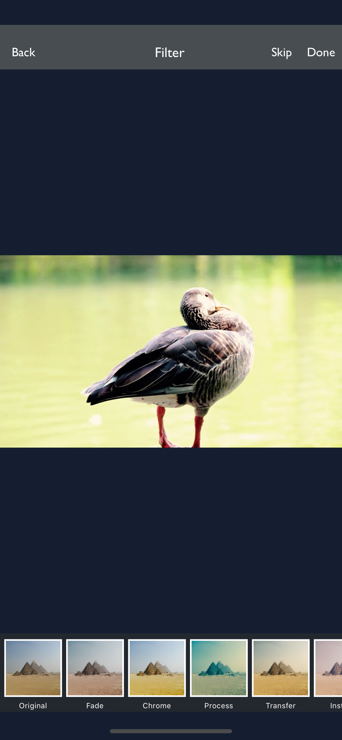 Video Filter Effects