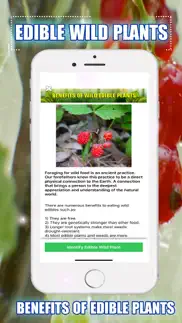 edible wild plants problems & solutions and troubleshooting guide - 4