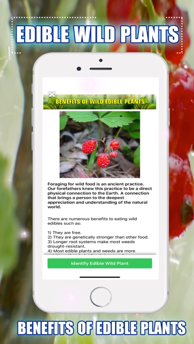Edible Wild Plants Screenshot