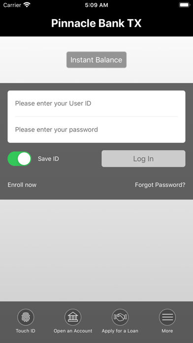 Pinnacle Bank Texas Screenshot
