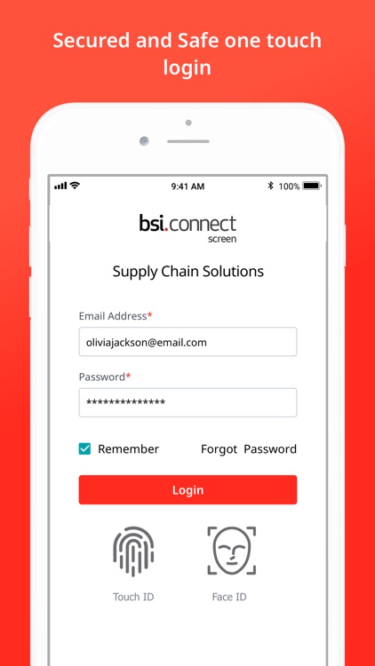 BSI Connect Screen
