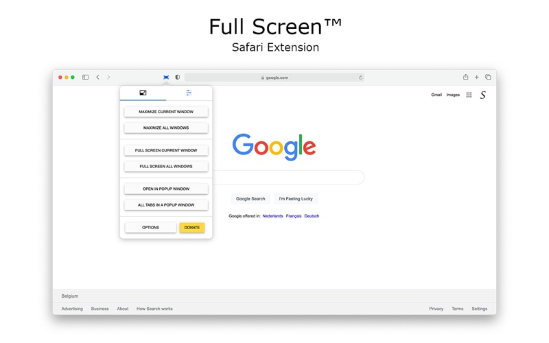 How to cancel & delete full screen for safari 2