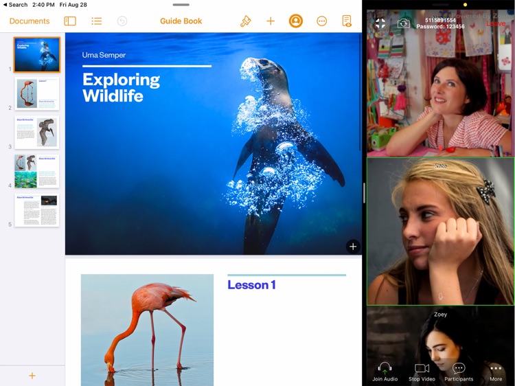 ZUO - multitask for ZOOM!