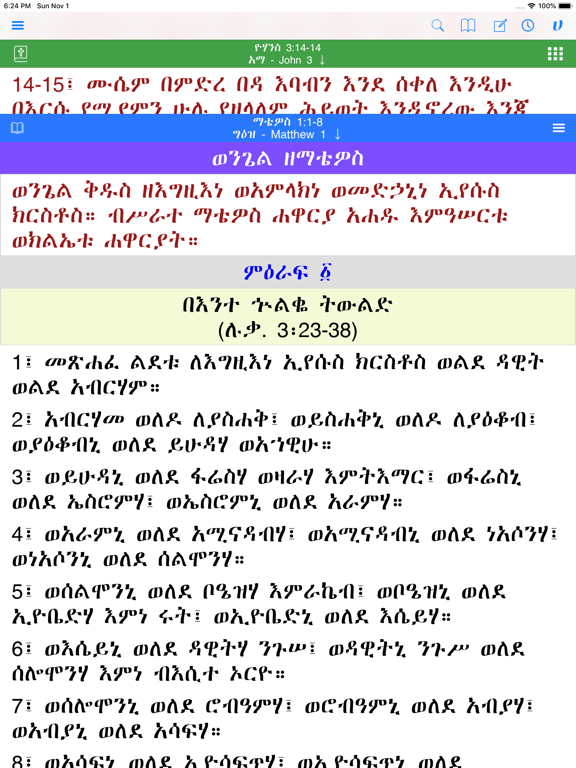 Screenshot #5 pour Hiyaw Qal AmlaK Bibles