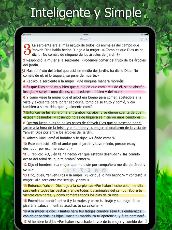 La Biblia de Jerusalén