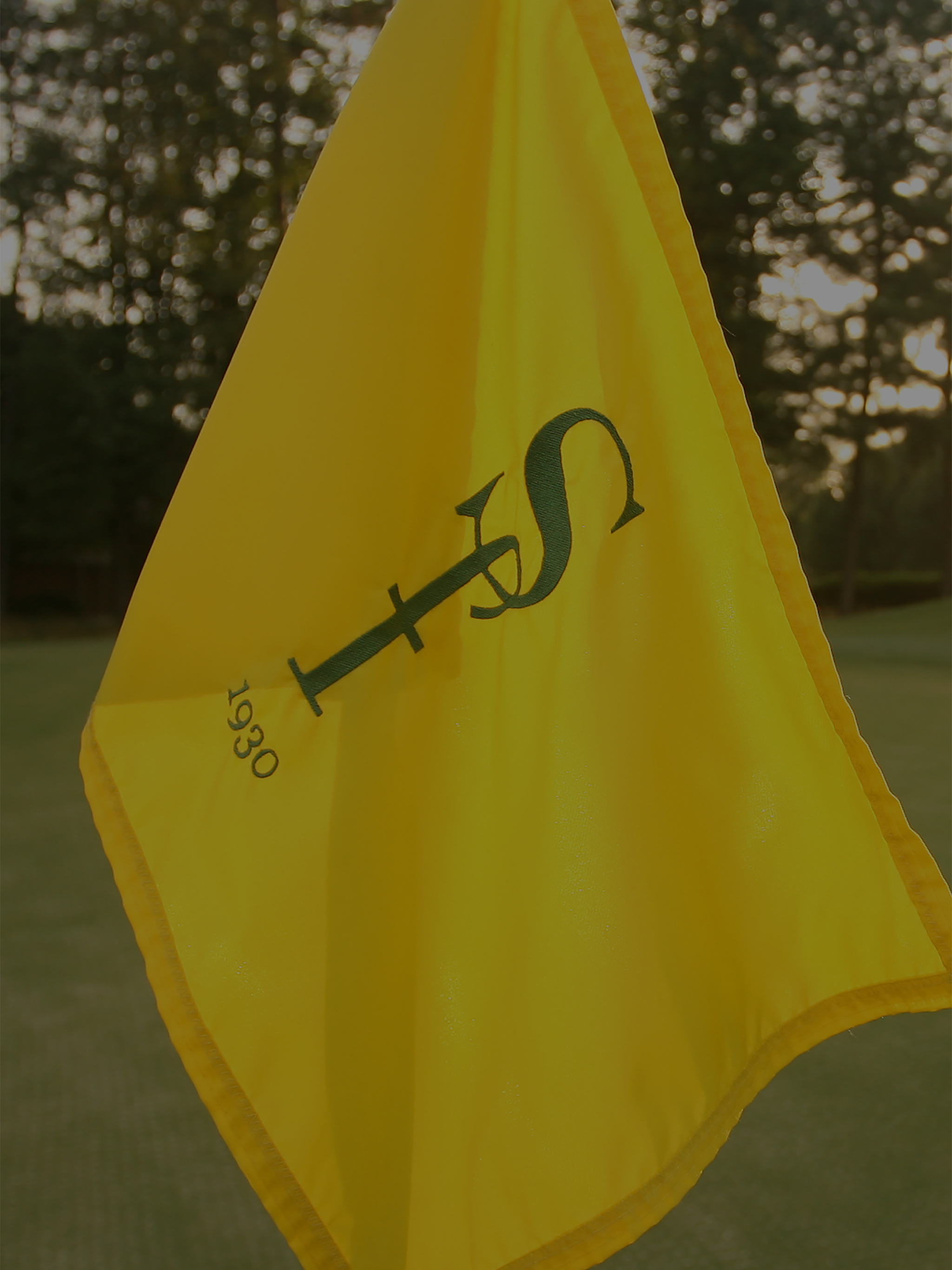 Starmount Forest CC
