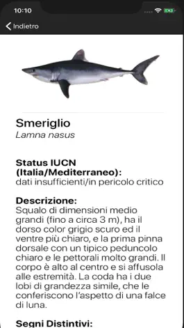 Game screenshot SharkApp hack