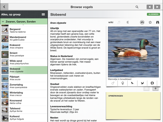 Vogels in Nederland - Zakgids iPad app afbeelding 9