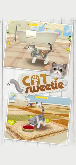 Game screenshot Cat Sweetie mod apk