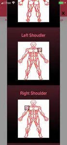 Build Muscle At Home Easily screenshot #4 for iPhone