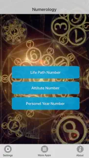 your numerology calculator iphone screenshot 1