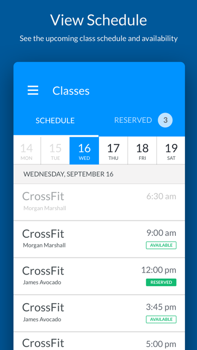 CrossFit Four Pillars Screenshot