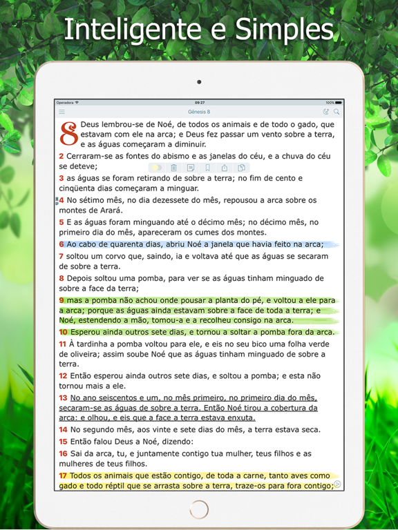 Screenshot #4 pour Bíblia João Ferreira Almeida