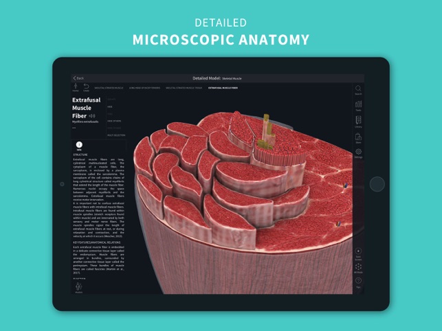 Complete Anatomy 2021(圖4)-速報App