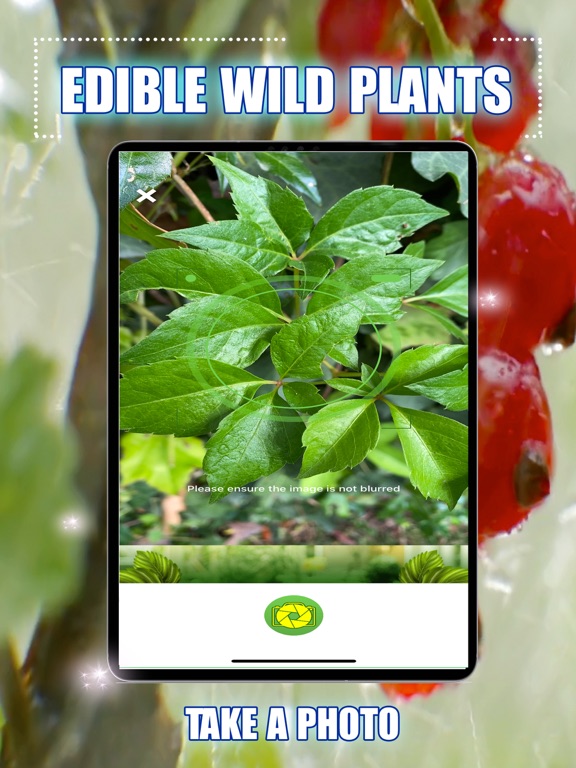 Screenshot #5 pour Edible Wild Plants