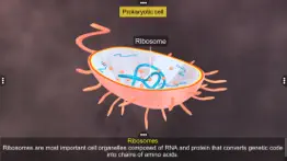 prokaryotic & eukaryotic cell iphone screenshot 3