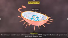 Game screenshot Prokaryotic & Eukaryotic cell hack