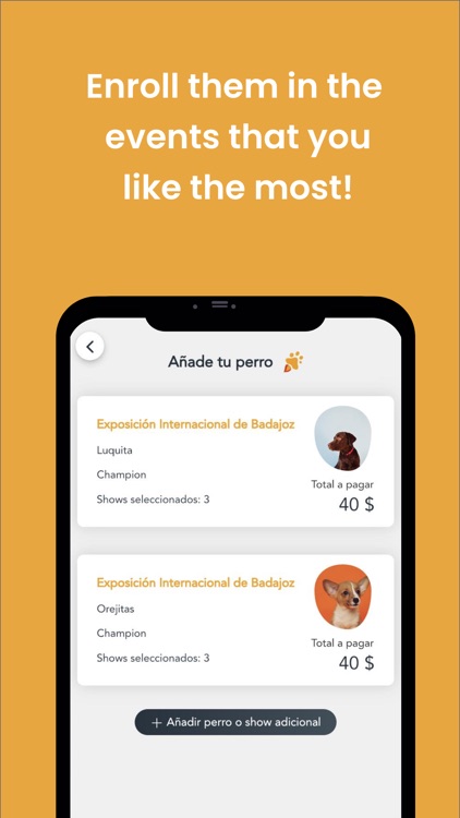 Rocket Entries screenshot-3