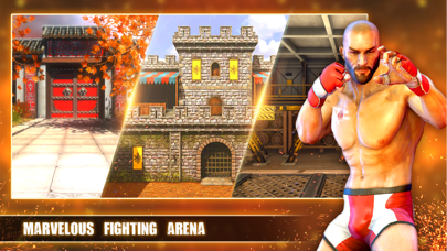Deadly Fight : Online Fighting Screenshot