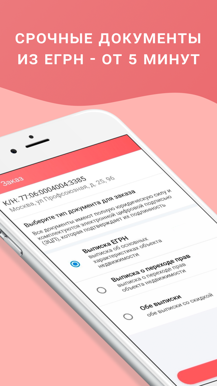Выписка ЕГРН