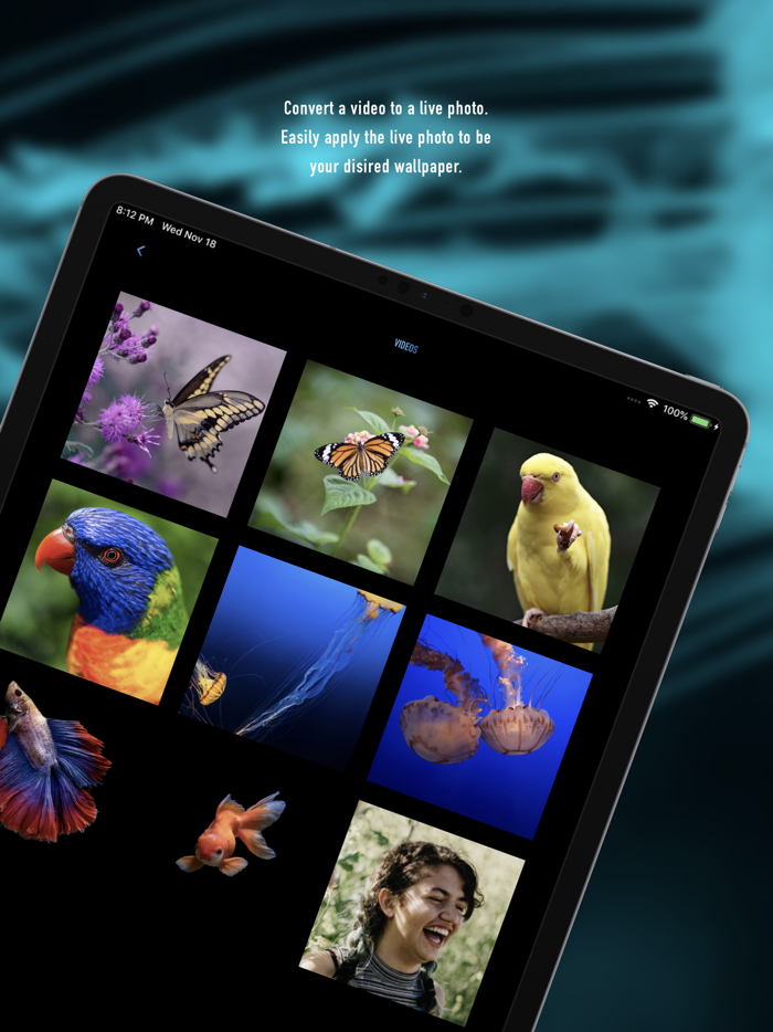 Lively Converter -Media Marker