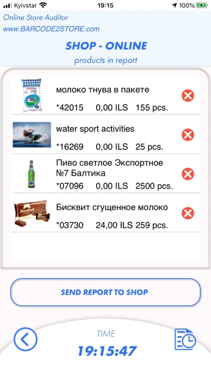 Online Store Auditor screenshot-4